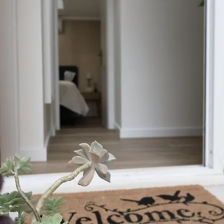 Avocado Dream Lägenhet Split