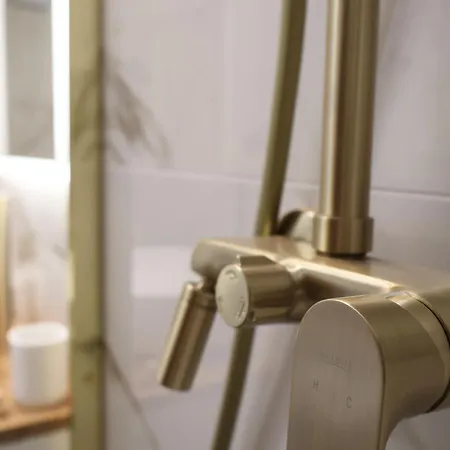 Avocado Dream 스플리트