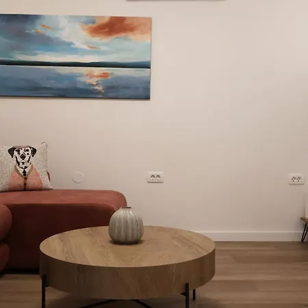 Avocado Dream * 스플리트