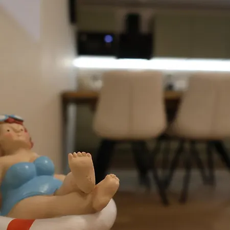 Avocado Dream 스플리트