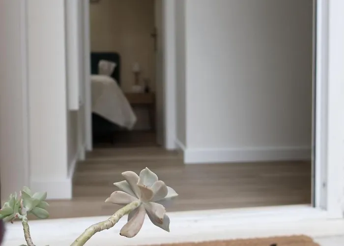 Avocado Dream Apartamento Split